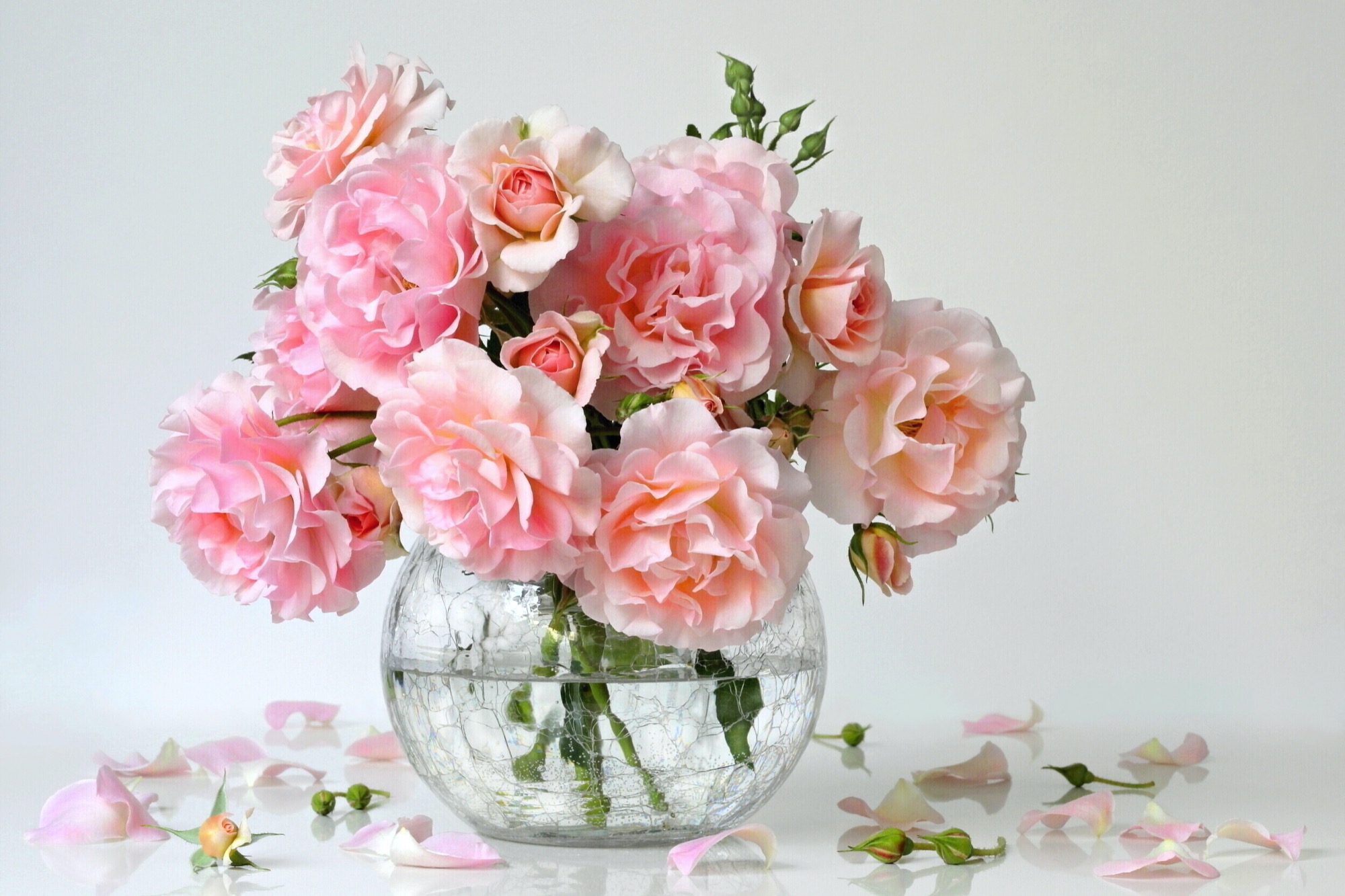 Bouquet of pink roses in a vase. Romantic floral still life with garden roses.